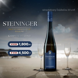 Steininger